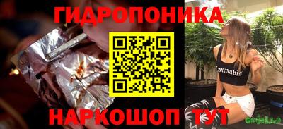 шишки Обь