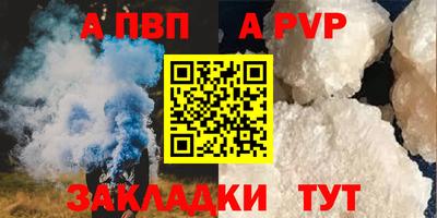 шишки Обь