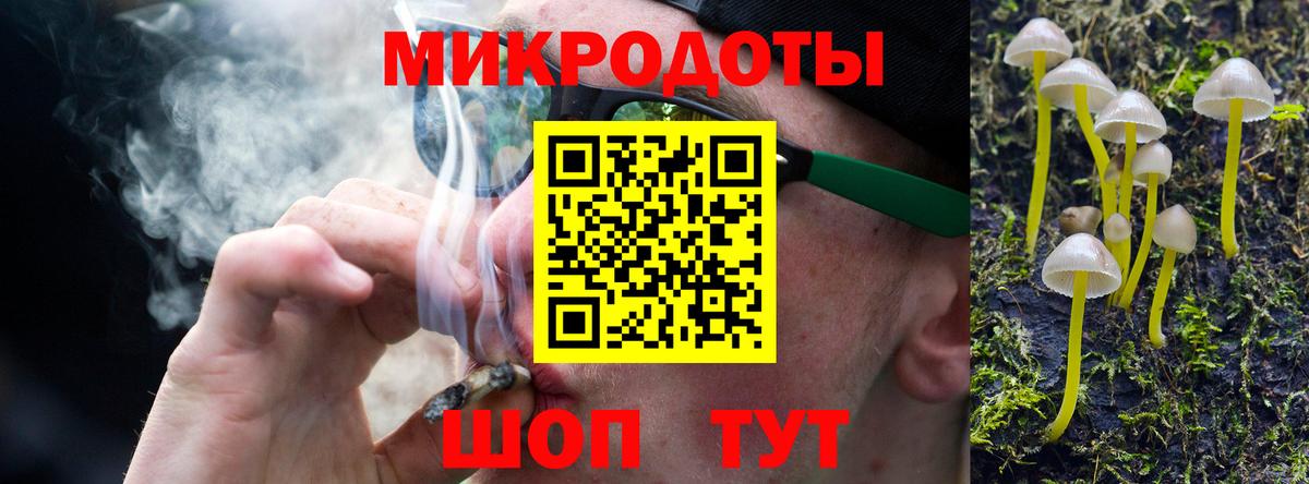 Псилоцибиновые грибы Cubensis  Вход с VPN  Ахтубинск 