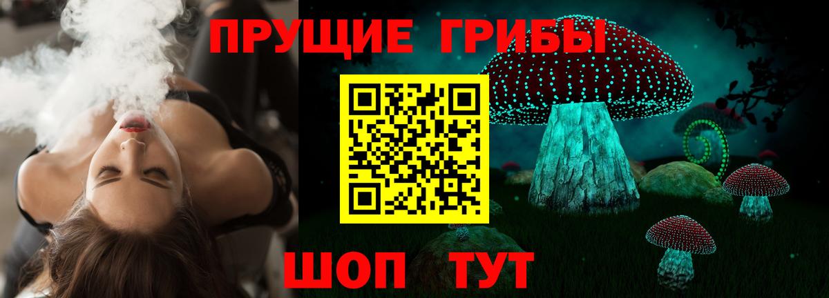Псилоцибиновые грибы Cubensis Ахтубинск